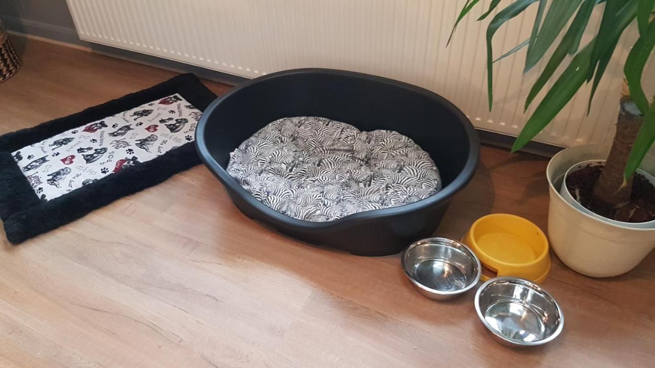 Nature, Charme, Confort, Avec Netflix Et Ps4 Lutzelbourg Luaran gambar